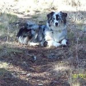 Meet your Posher, Terri